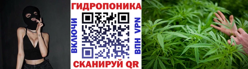 Канабис гибрид  купить наркотик  Уржум 